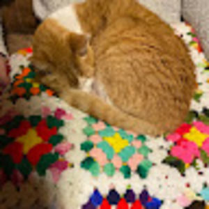 Meet your Posher, Karen